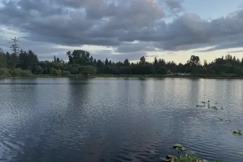 A calm lake in Bellevue, Washington, edged with trees under an overcast sky