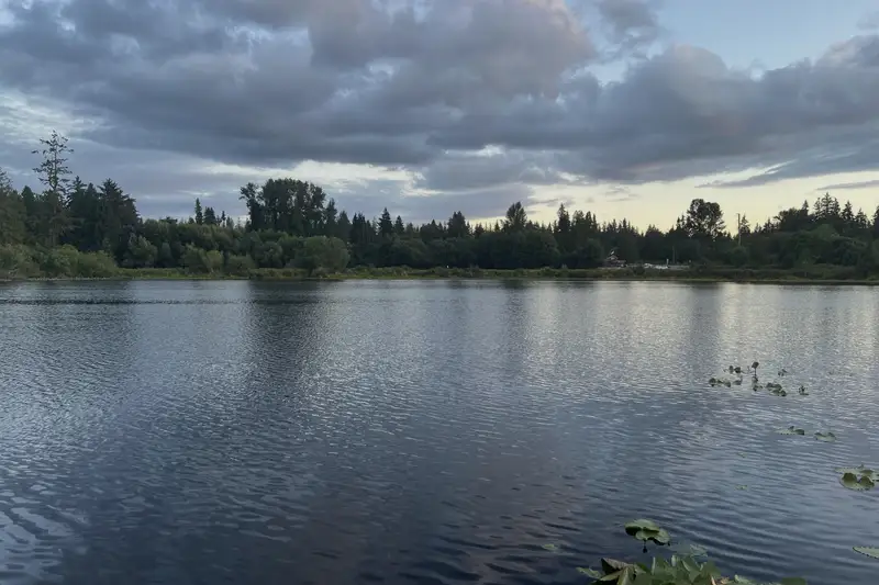 A calm lake in Bellevue, Washington, edged with trees under an overcast sky