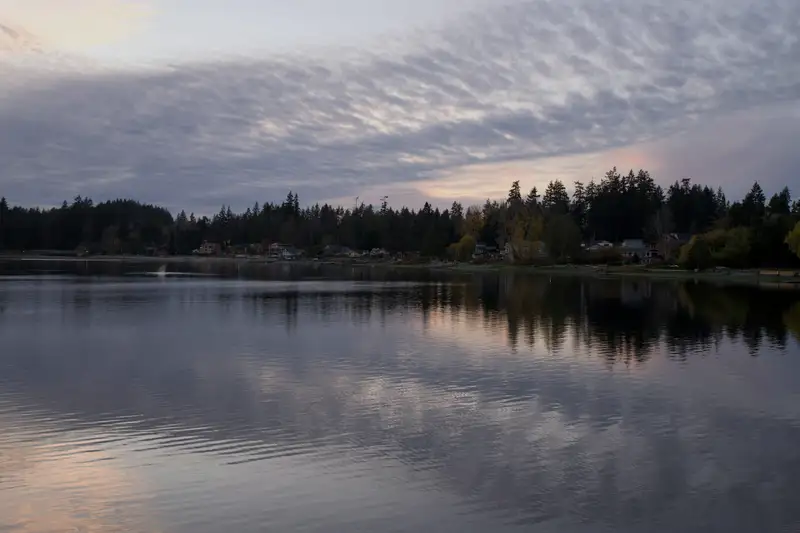 A calm lake at dusk reflecting a line of dark trees and a soft grey sky