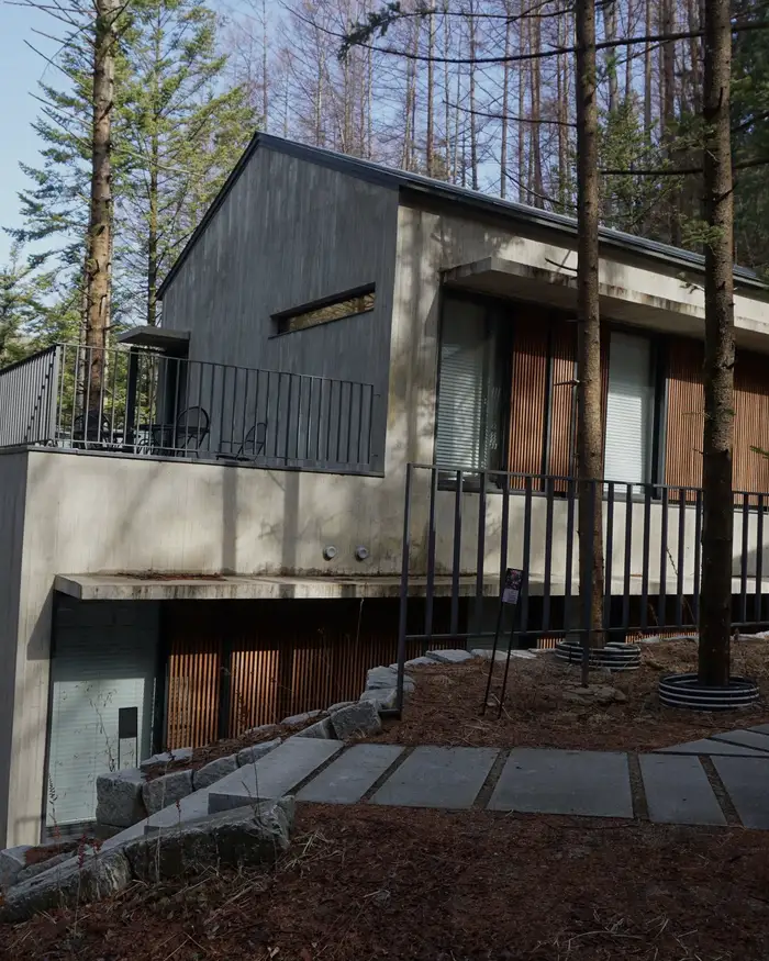 A grey modern house among tall conifers